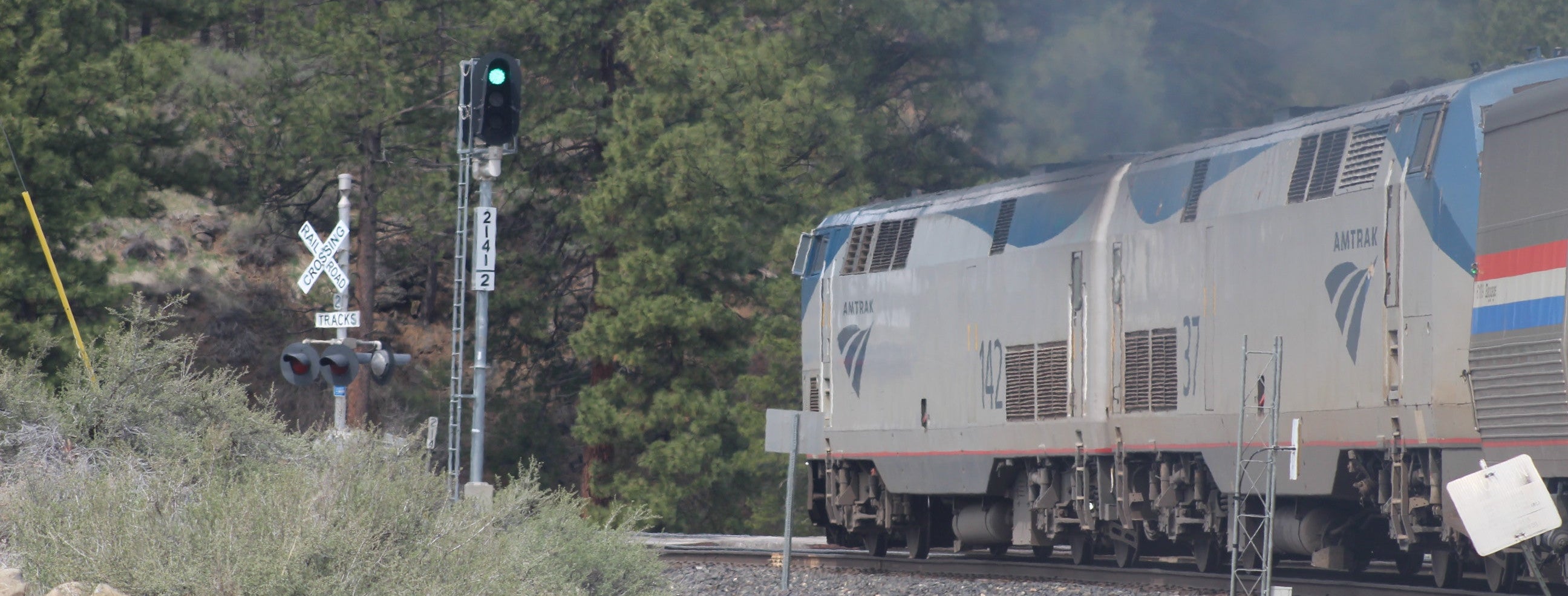 Train passing through a forested area with a green light signal.